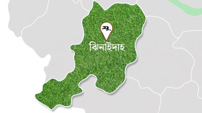ভাই হত্যার প্রতিশোধে গুলি করে হত্যাচেষ্টা