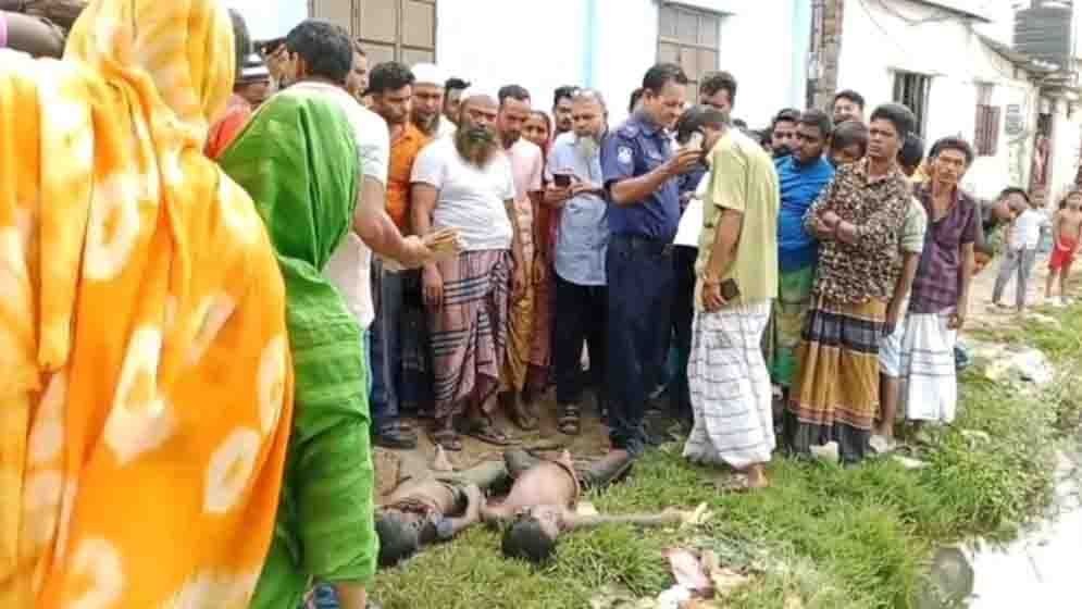 আশুলিয়ায় মাছের ঘেরে মিলল ২ মাদ্রাসা শিক্ষার্থীর লাশ