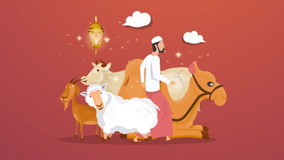 পরিবারের সবার পক্ষে একটি পশু কুরবানি করা যাবে?