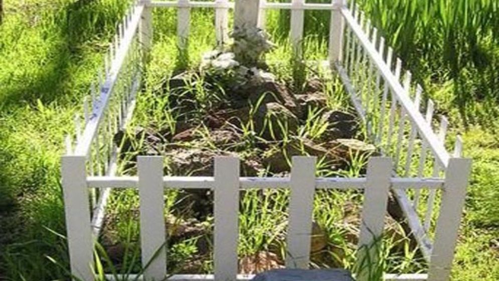 কবরস্থানের সভাপতি পদের জন্য নির্বাচন, এলাকায় তোলপাড়