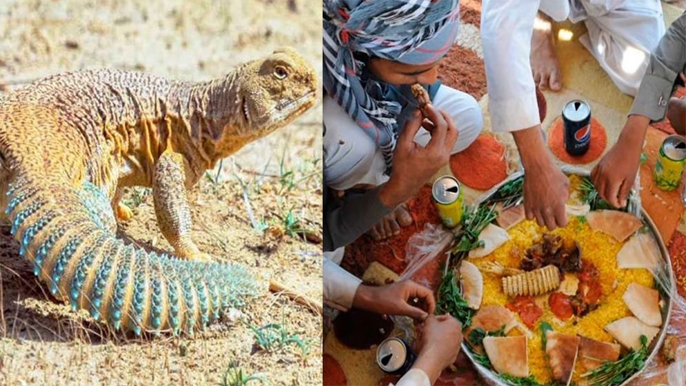 ‘সান্ডা’র মাংস খাওয়া কি হালাল, কারা খায়?