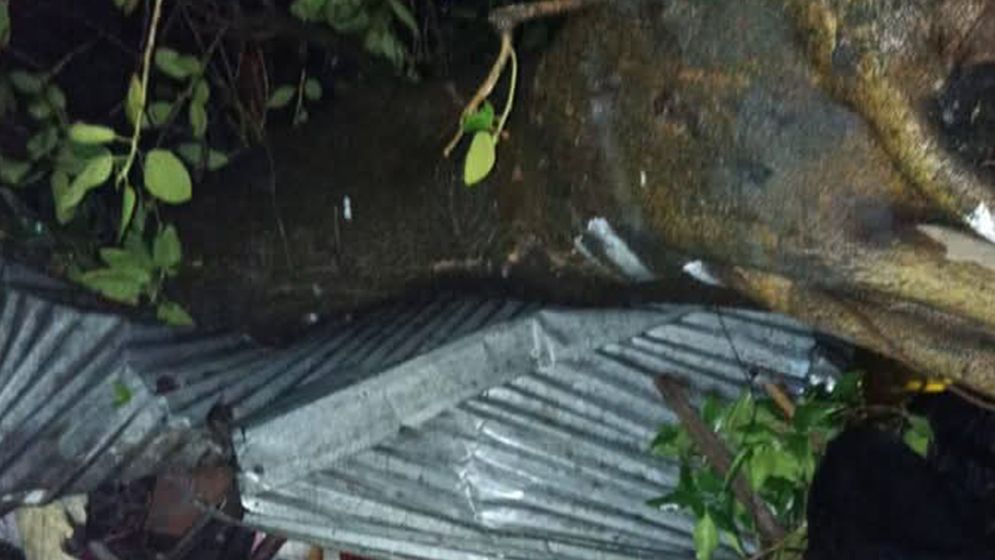 ঝড়ে গাছের ডাল পড়ল দোকানে, প্রাণ গেল নারীর