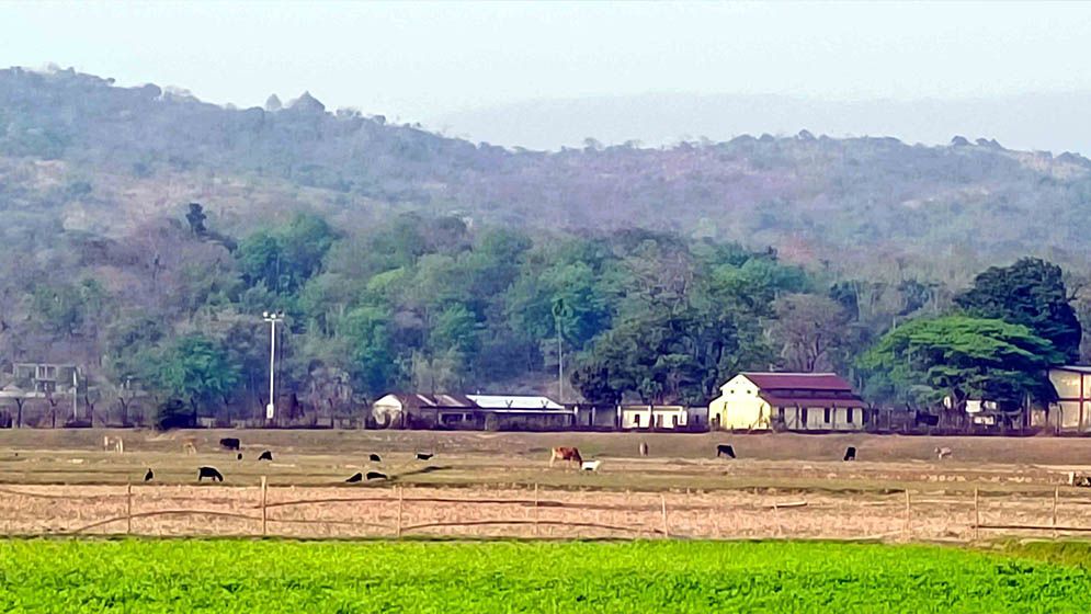 বিএসএফের গুলিতে গুলিবিদ্ধ বাংলাদেশি