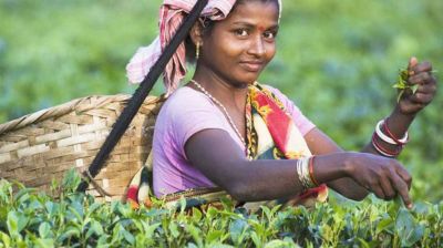 ‘মুল্লুক চলো’ আন্দোলন দিবসকে চা শ্রমিক দিবস ঘোষণার দাবি