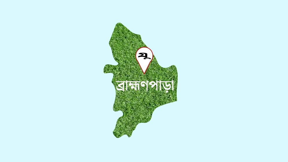 ডোবার পানিতে মামা-ভাগ্নের মৃত্যু