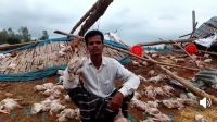 ঝড়ে উড়ে গেল চোখা মিয়ার স্বপ্ন, মারা গেল ১৪০০ মুরগি
