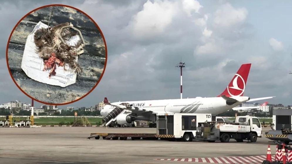 কী ঘটেছিল জরুরি অবতরণ করা তার্কিশের সেই বিমানের ইঞ্জিনে