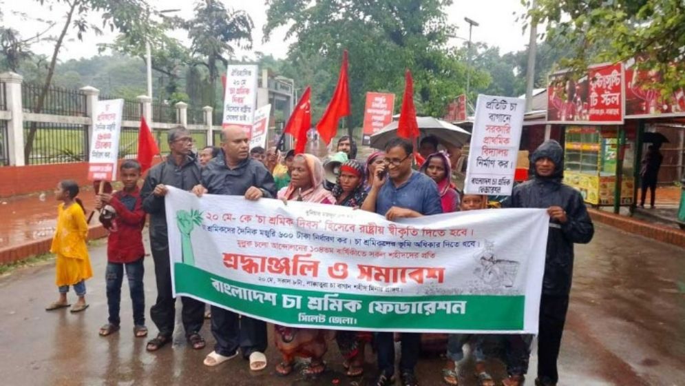 ভূমির অধিকার ও মজুরি বাড়ানোর দাবি চা শ্রমিকদের