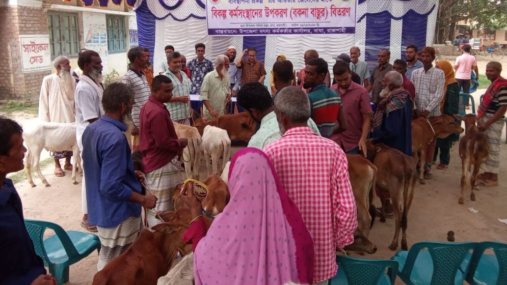 বাঘায় ১৬ জেলে পেলেন গরুর বাছুর