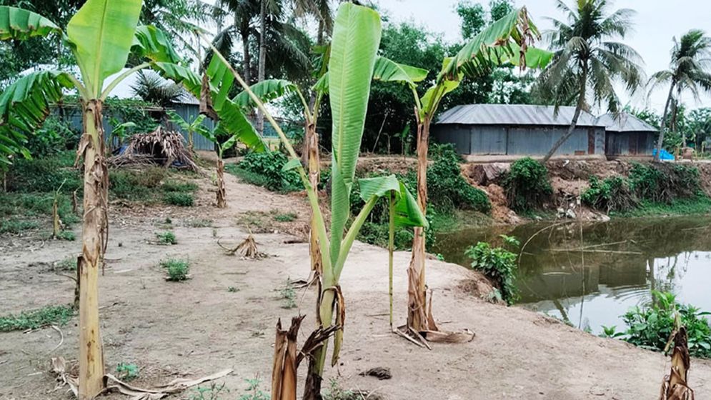 ভূমিহীনদের উচ্ছেদ করে জমি দখল যুবলীগ নেতার