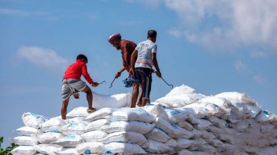 আমন মৌসুমে সার সরবরাহ ব্যাহতের শঙ্কা