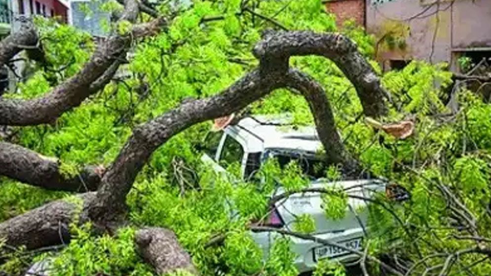 ভারতে বজ্রপাত ও ঝড়ে ৪৫ জনের প্রাণহানি