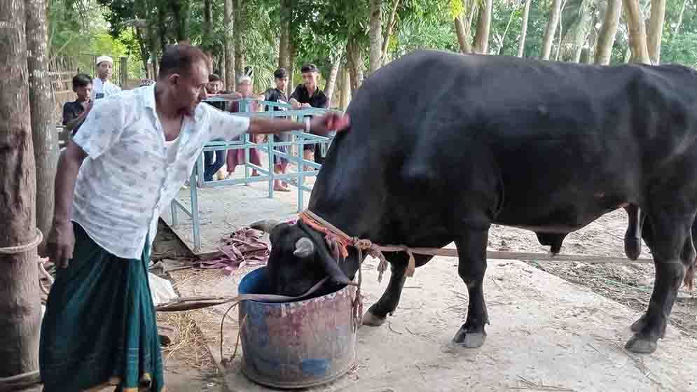 বীর বাহাদুরের দাম চাওয়া হচ্ছে ৯ লাখ