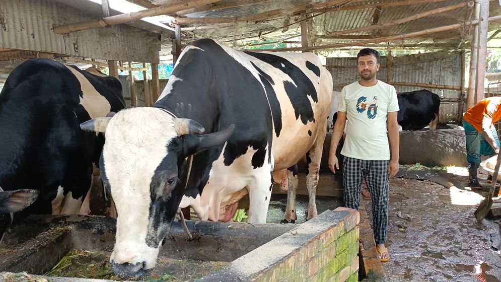 ফরিদপুরের ‘বাদশা’র ওজন ৩০ মণ