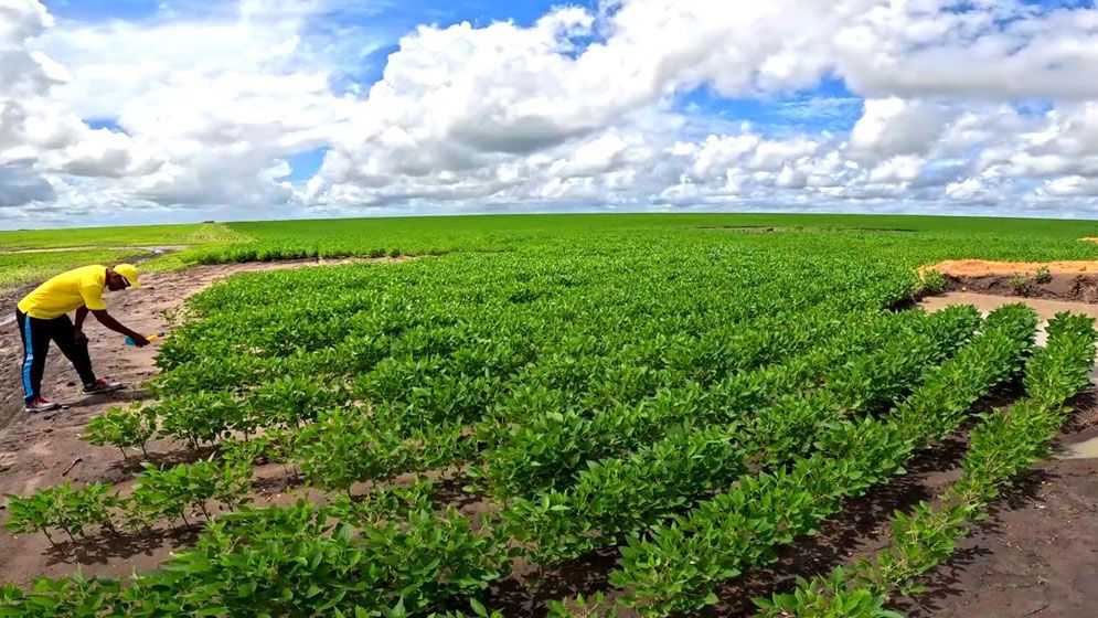 বিশ্বে ১৮৬ দেশের মধ্যে খাদ্যে স্বয়ংসম্পূর্ণ মাত্র একটি!