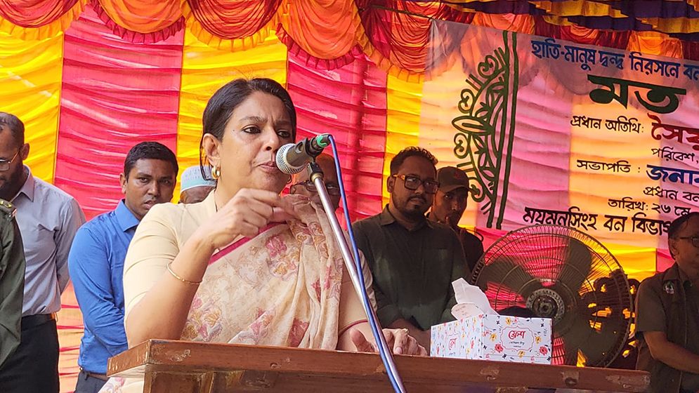 বন ও হাতির ক্ষতি করলে আমরা বাঁচতে পারব না: পরিবেশ উপদেষ্টা