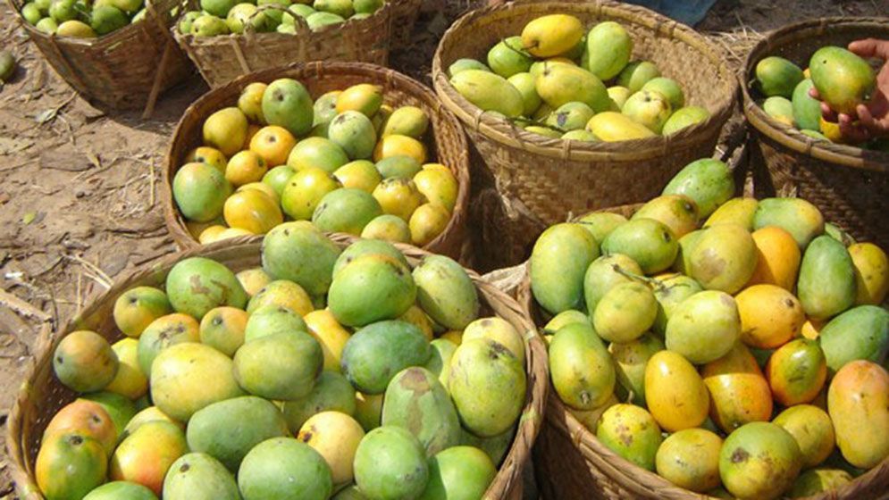 পাহাড়ের আম বাজারে