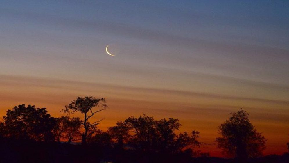 কুরবানির আগে দশ দিন চুল-নখ না কাটার তাৎপর্য