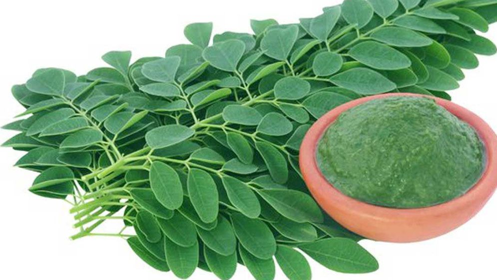 আর্থ্রাইটিস ডায়াবেটিস ও হাইপ্রেসার নিয়ন্ত্রণে সজনে পাতা