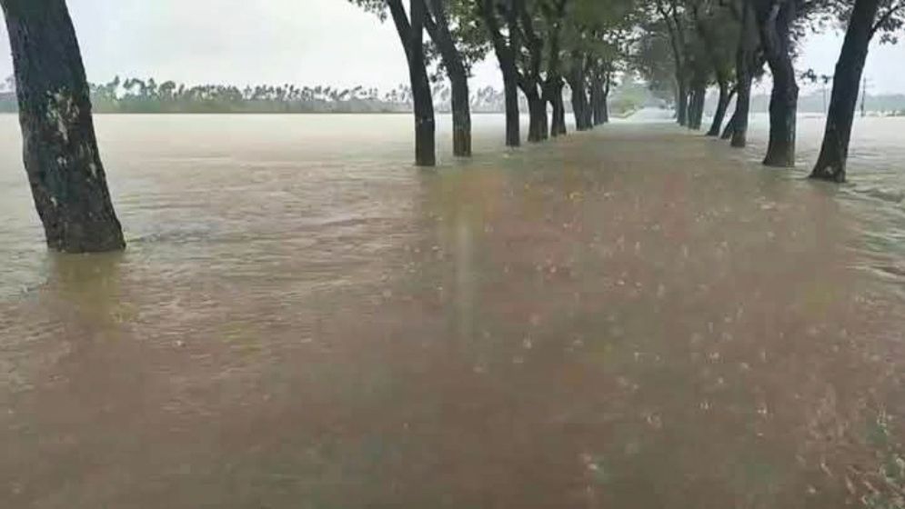 টানা বৃষ্টি-পাহাড়ি ঢলে গোয়াইনঘাটের নিম্নাঞ্চল প্লাবিত, বন্যার শঙ্কা