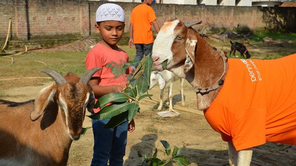 কুরবানির পশু কি কারো সঙ্গে পরিবর্তন করা যাবে?