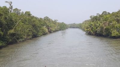 সুন্দরবনে প্রবেশে ৩ মাসের নিষেধাজ্ঞা