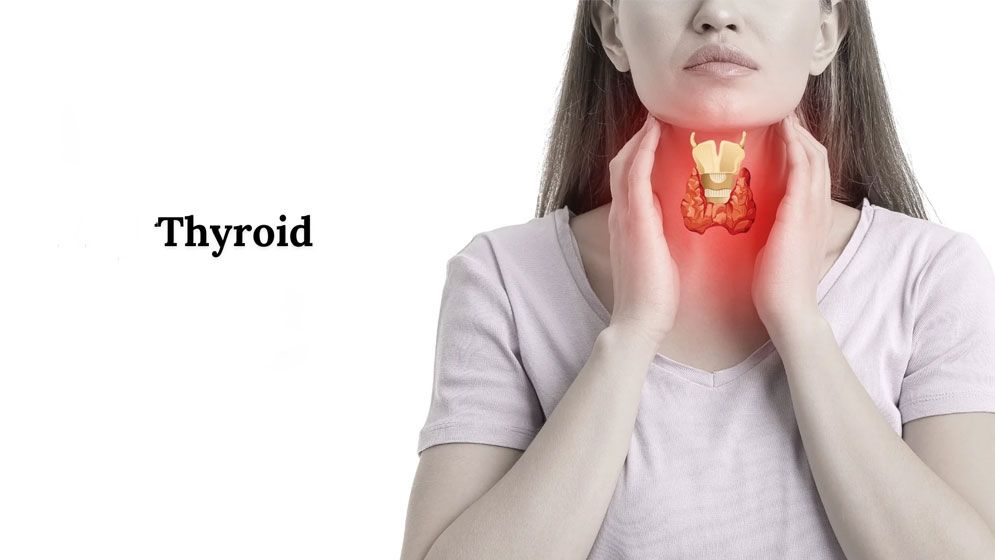 থাইরয়েডের সমস্যা নিয়ন্ত্রণে রাখে যেসব ভেষজ