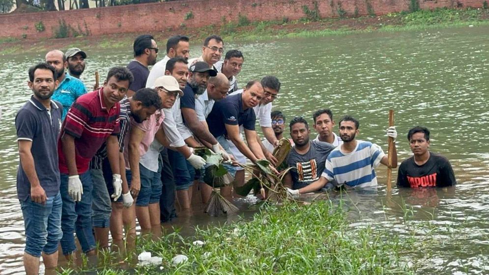 জিয়া উদ্যানের লেকে ‘শাপলা ফুল’ রোপণ করল ‘আমরা বিএনপি পরিবার’