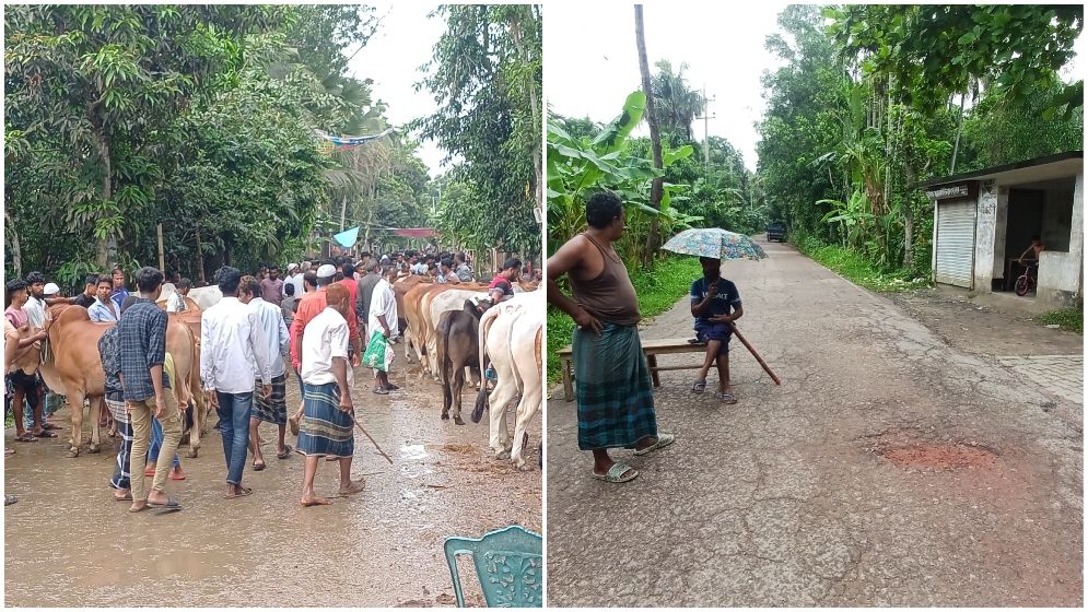 রায়পুরে আঞ্চলিক সড়ক বন্ধ করে বসেছে পশুর হাট