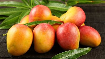 আম খেলে মানুষ মোটা হয়?