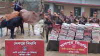 ফেনী সীমান্তে দু’মাসে ১৭৩ ভারতীয় গরু আটক