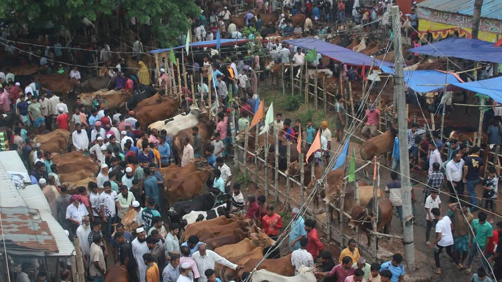 কুমিল্লার দেবিদ্বারে সড়ক বন্ধ করে গরুর হাট, যাত্রীদের ভোগান্তি
