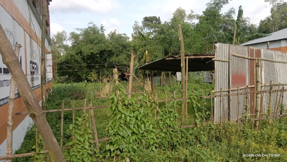 বিধবার জমি দখলের অভিযোগ