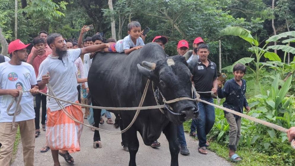 ‘কালো মানিক’কে নিয়ে খালেদা জিয়ার বাসভবনের পথে সোহাগ