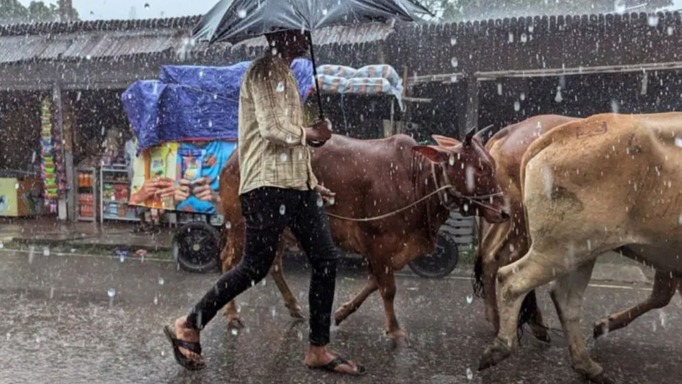 ঈদে কোথায় কতটা বৃষ্টির সম্ভাবনা