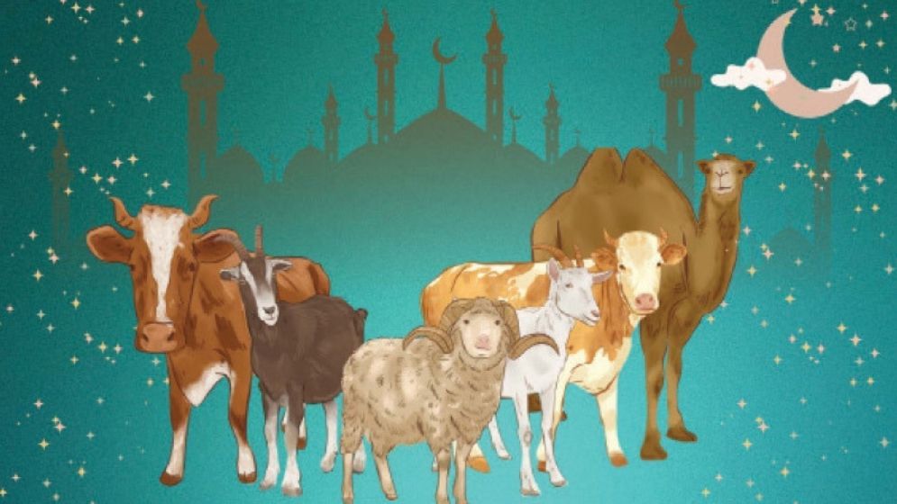 ঈদুল আজহায় মুসলিম বিশ্বের কোথায় কোন পশু কোরবানি দেওয়া হয়?