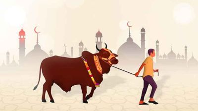 কুরবানির মাংস বণ্টন করবেন যেভাবে