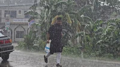 বৃষ্টিতে ভিজে শহীদ ও আহতদের পরিবারের মাঝে মাংস পৌঁছে দিলেন হাসনাত