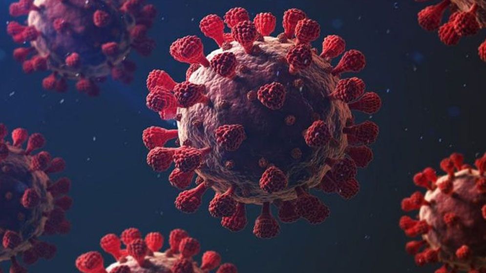 গত ২৪ ঘণ্টায় ৪ নমুনা পরীক্ষায় ৩ জনের দেহেই পাওয়া গেল করোনা