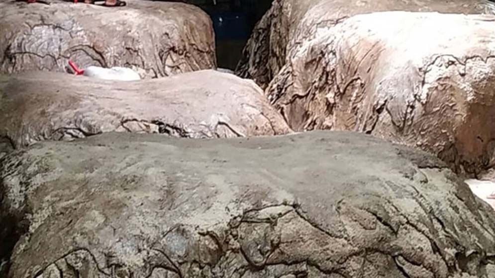 সরকার বাড়িয়ে দিলেও চামড়ায় এবারও কাঙ্ক্ষিত দাম মেলেনি