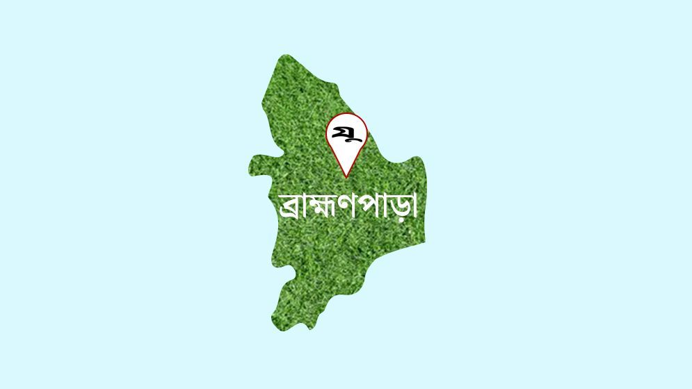 ব্রাহ্মণপাড়ায় পাগলা কুকুরের কামড়ে নারী-শিশুসহ আহত ৭