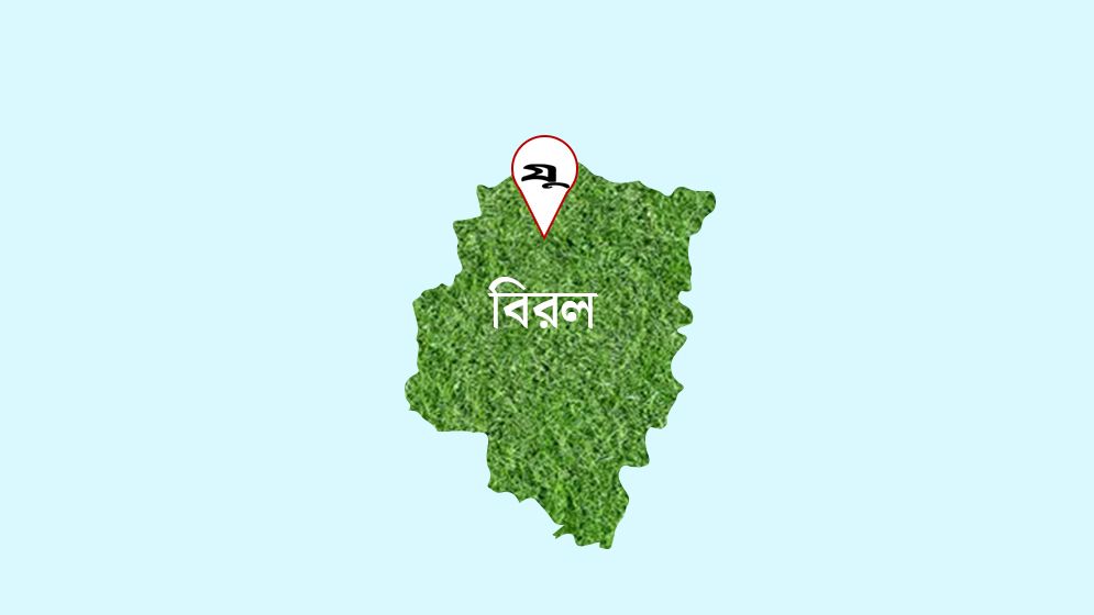 দিনাজপুর ও ঠাকুরগাঁও সীমান্ত দিয়ে ২০ জনকে পুশইন