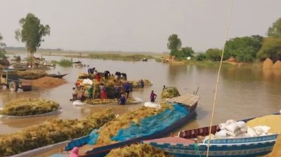 আগাম বন্যায় চলনবিলে ভাসছে কৃষকের স্বপ্ন