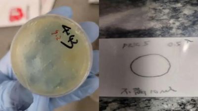 উহান থেকে ‘জৈব উপাদান’ পাচারের অভিযোগে যুক্তরাষ্ট্রে চীনা গবেষক গ্রেফতার