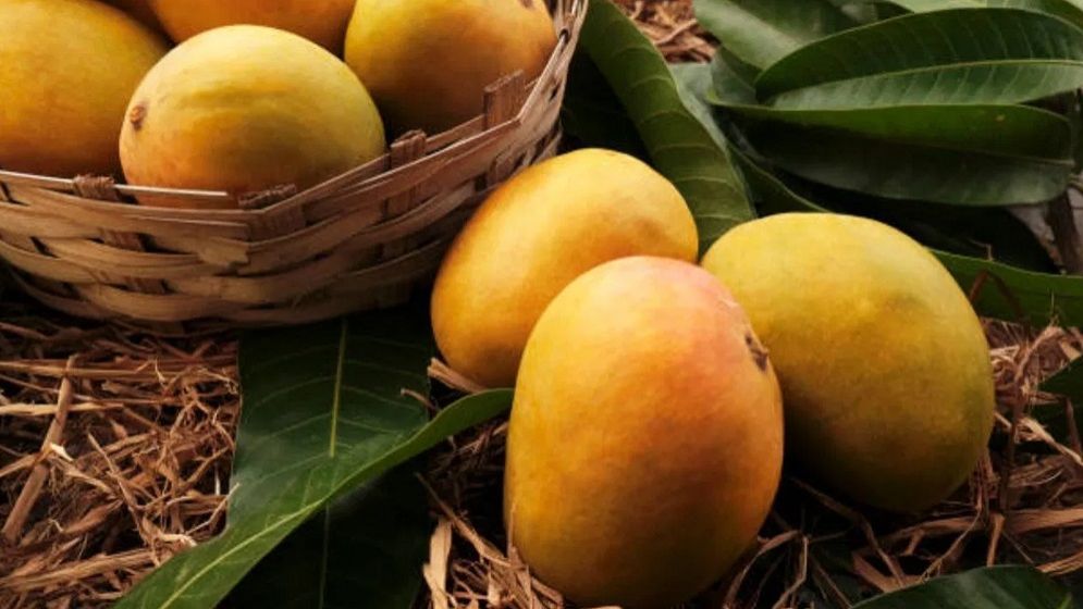 ভালো আম চেনার উপায়
