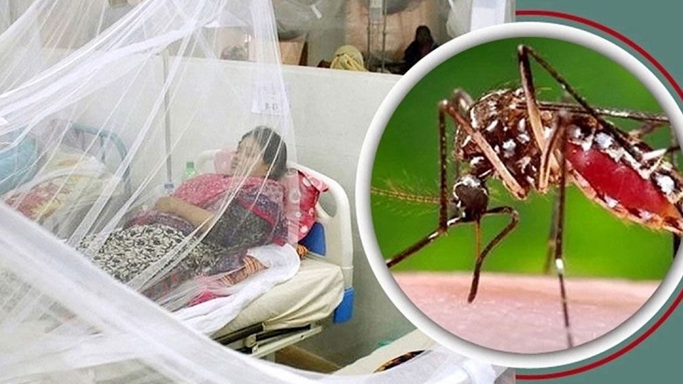 ২৪ ঘণ্টায় ডেঙ্গুতে রেকর্ড সংখ্যক আক্রান্ত
