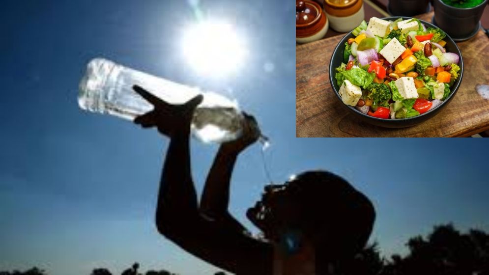 তীব্র গরমেও সুস্থ থাকবেন যেসব সালাদ খেলে