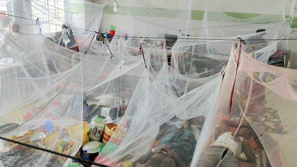 বরগুনায় ডেঙ্গু পরিস্থিতি ভয়াবহ, মৃত্যু বেড়ে ১৩