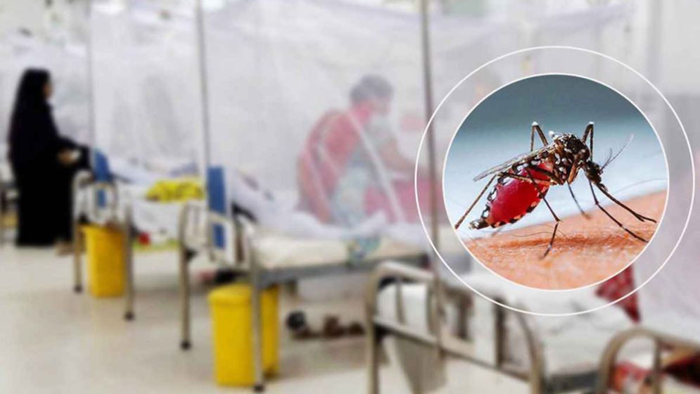 চলতি মাসে হাজার ছাড়াল ডেঙ্গু আক্রান্ত