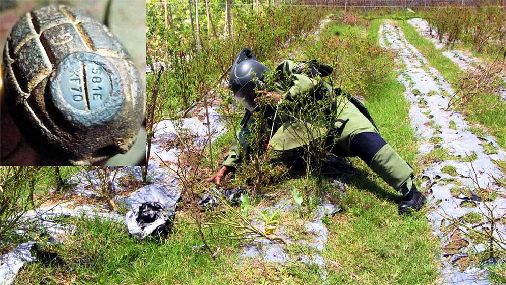 দ্বিতীয় বিশ্বযুদ্ধের অব্যবহৃত গ্রেনেড উদ্ধার